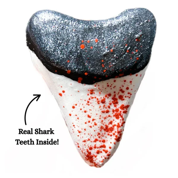 Shark Tooth Bath Bomb with white background.