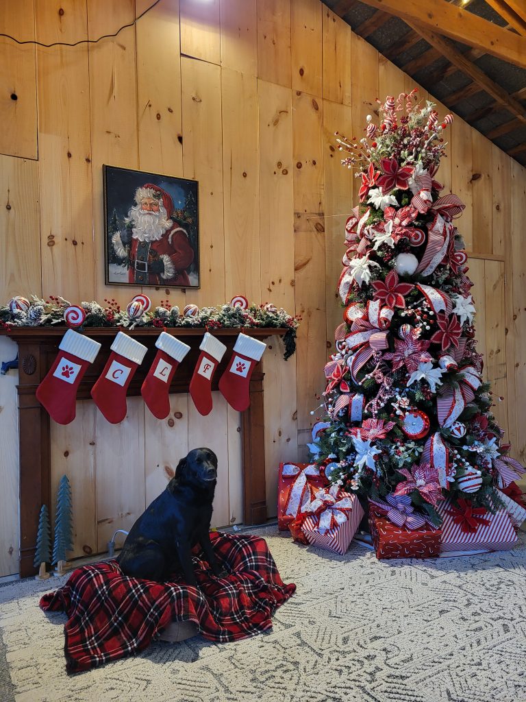 The Barn at Cedar Lane Farms Marbury MD